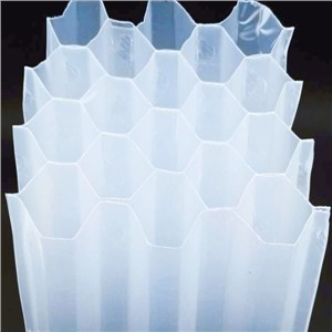 35mm pp tüp yerleşimcileri