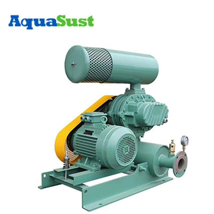 Roots Air Blower